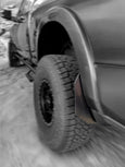 2009-2024 Dodge RAM 2500/3500 TriXpoly Micros